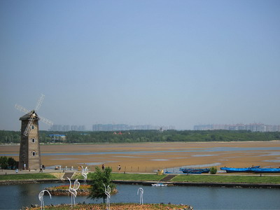 1746760228631840.jpg 鴿子窩3.jpg